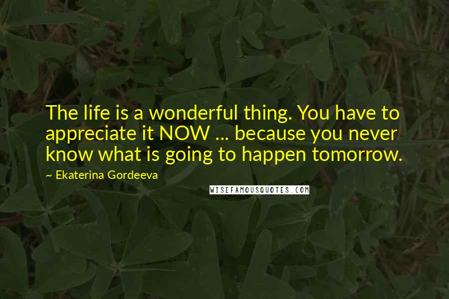 Ekaterina Gordeeva Quotes: The life is a wonderful thing. You have to appreciate it NOW ... because you never know what is going to happen tomorrow.