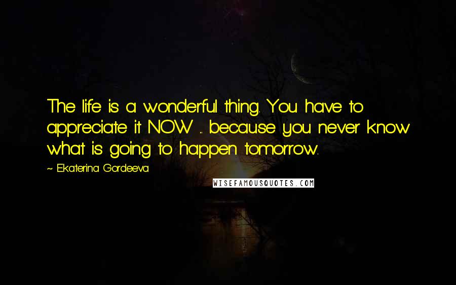 Ekaterina Gordeeva Quotes: The life is a wonderful thing. You have to appreciate it NOW ... because you never know what is going to happen tomorrow.