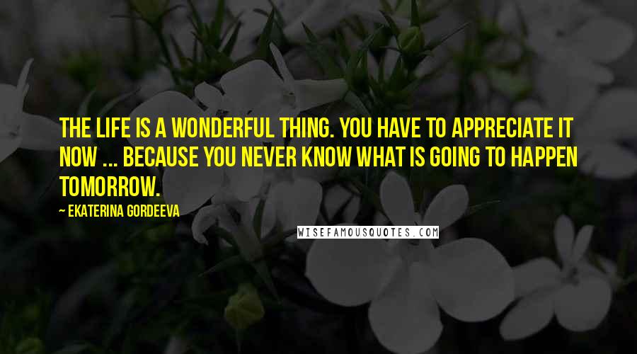 Ekaterina Gordeeva Quotes: The life is a wonderful thing. You have to appreciate it NOW ... because you never know what is going to happen tomorrow.