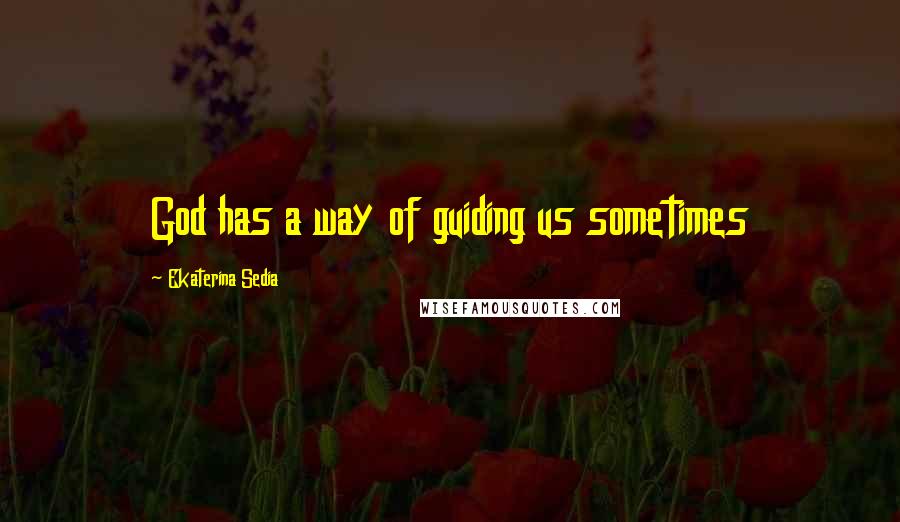 Ekaterina Sedia Quotes: God has a way of guiding us sometimes