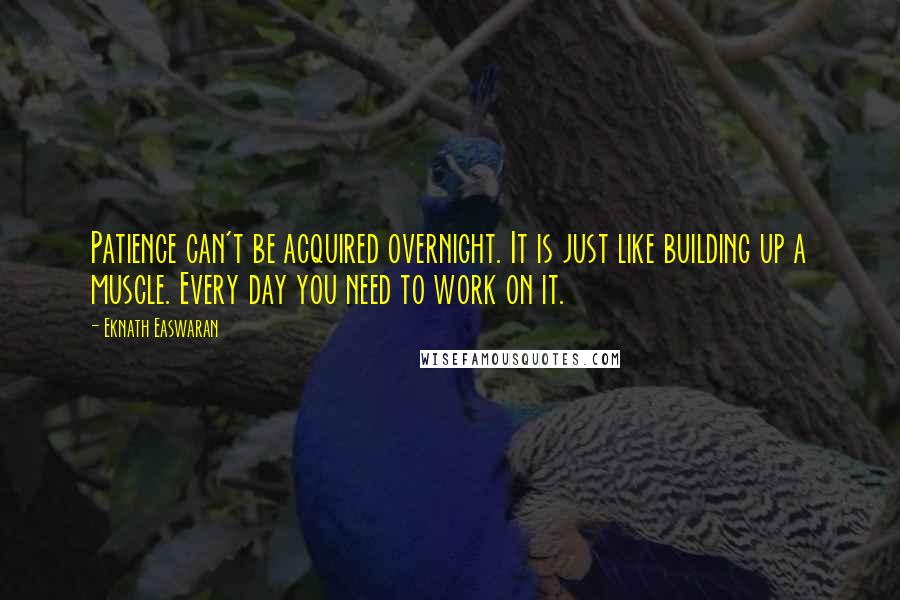 Eknath Easwaran Quotes: Patience can't be acquired overnight. It is just like building up a muscle. Every day you need to work on it.