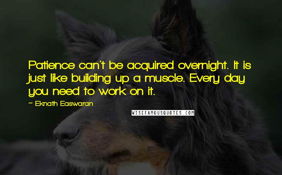 Eknath Easwaran Quotes: Patience can't be acquired overnight. It is just like building up a muscle. Every day you need to work on it.