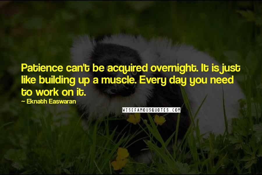 Eknath Easwaran Quotes: Patience can't be acquired overnight. It is just like building up a muscle. Every day you need to work on it.