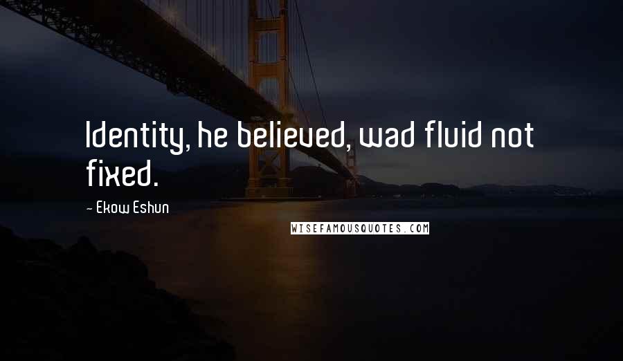 Ekow Eshun Quotes: Identity, he believed, wad fluid not fixed.