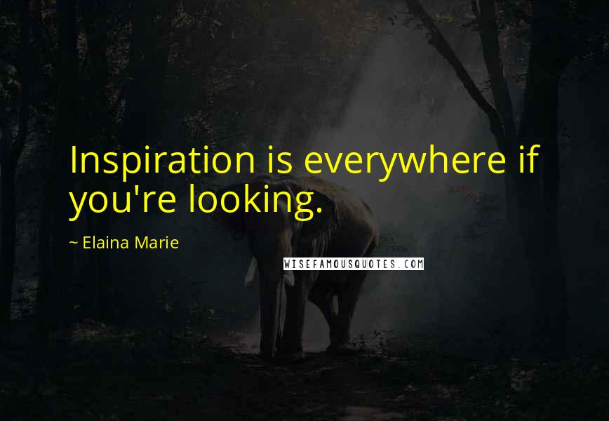 Elaina Marie Quotes: Inspiration is everywhere if you're looking.