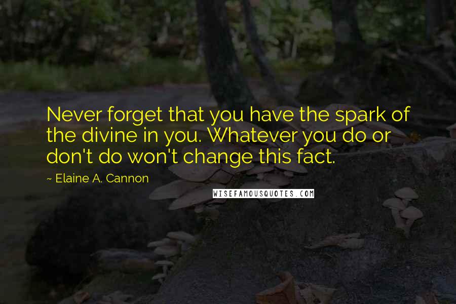 Elaine A. Cannon Quotes: Never forget that you have the spark of the divine in you. Whatever you do or don't do won't change this fact.