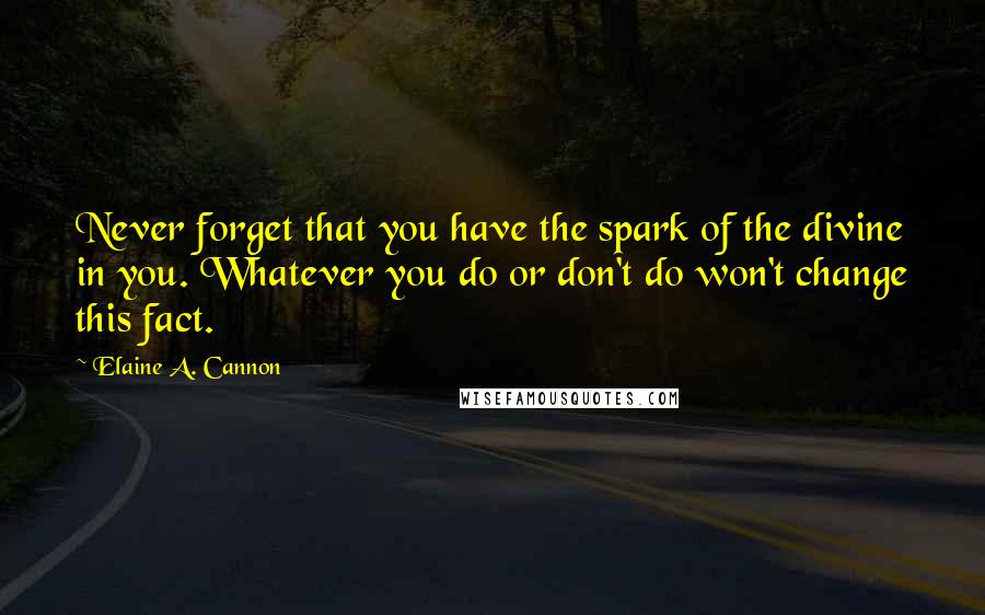 Elaine A. Cannon Quotes: Never forget that you have the spark of the divine in you. Whatever you do or don't do won't change this fact.