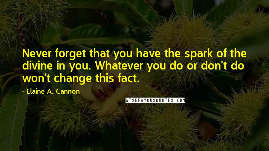 Elaine A. Cannon Quotes: Never forget that you have the spark of the divine in you. Whatever you do or don't do won't change this fact.