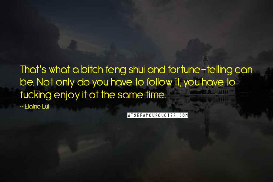 Elaine Lui Quotes: That's what a bitch feng shui and fortune-telling can be. Not only do you have to follow it, you have to fucking enjoy it at the same time.