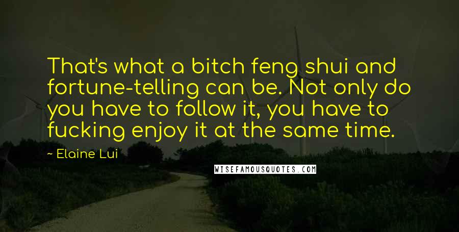 Elaine Lui Quotes: That's what a bitch feng shui and fortune-telling can be. Not only do you have to follow it, you have to fucking enjoy it at the same time.