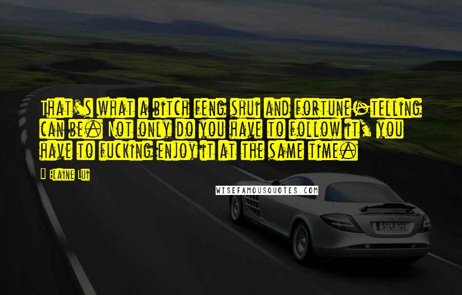 Elaine Lui Quotes: That's what a bitch feng shui and fortune-telling can be. Not only do you have to follow it, you have to fucking enjoy it at the same time.