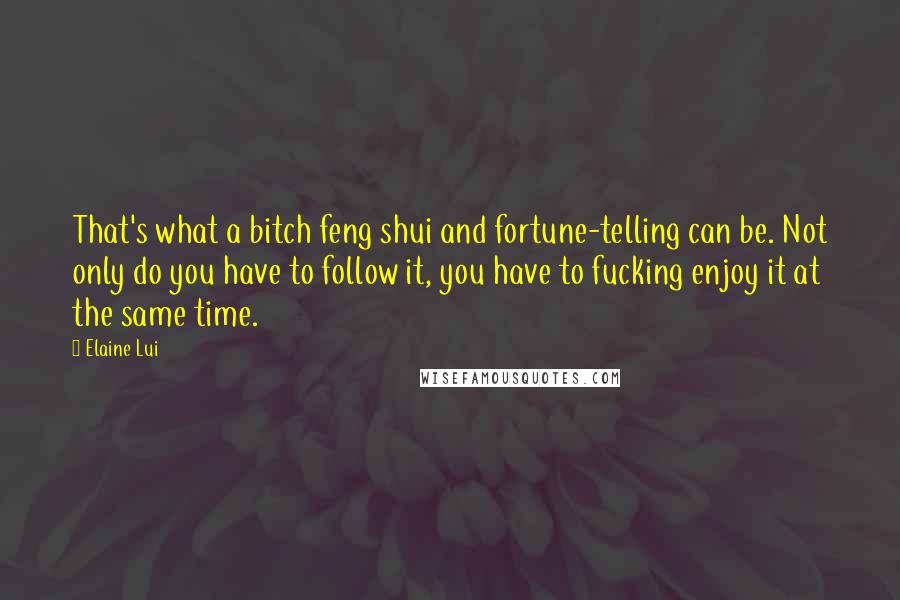 Elaine Lui Quotes: That's what a bitch feng shui and fortune-telling can be. Not only do you have to follow it, you have to fucking enjoy it at the same time.