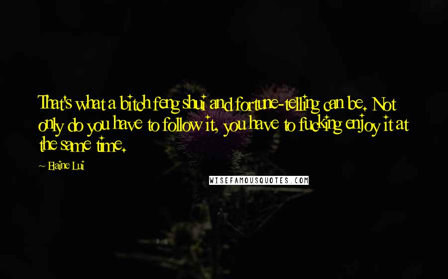 Elaine Lui Quotes: That's what a bitch feng shui and fortune-telling can be. Not only do you have to follow it, you have to fucking enjoy it at the same time.