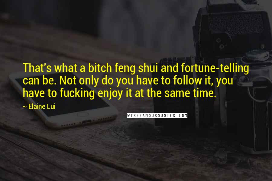 Elaine Lui Quotes: That's what a bitch feng shui and fortune-telling can be. Not only do you have to follow it, you have to fucking enjoy it at the same time.