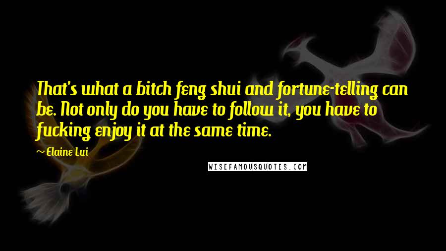 Elaine Lui Quotes: That's what a bitch feng shui and fortune-telling can be. Not only do you have to follow it, you have to fucking enjoy it at the same time.