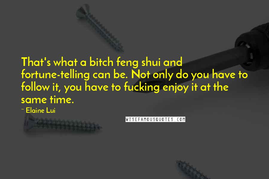 Elaine Lui Quotes: That's what a bitch feng shui and fortune-telling can be. Not only do you have to follow it, you have to fucking enjoy it at the same time.