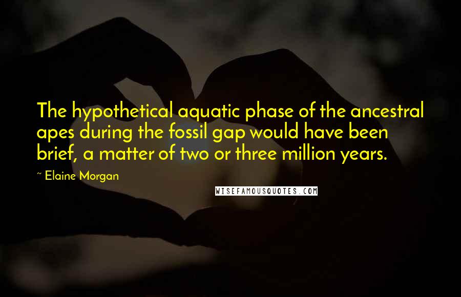 Elaine Morgan Quotes: The hypothetical aquatic phase of the ancestral apes during the fossil gap would have been brief, a matter of two or three million years.