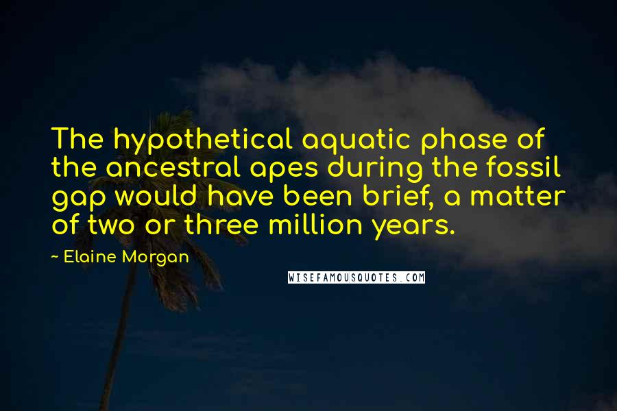 Elaine Morgan Quotes: The hypothetical aquatic phase of the ancestral apes during the fossil gap would have been brief, a matter of two or three million years.