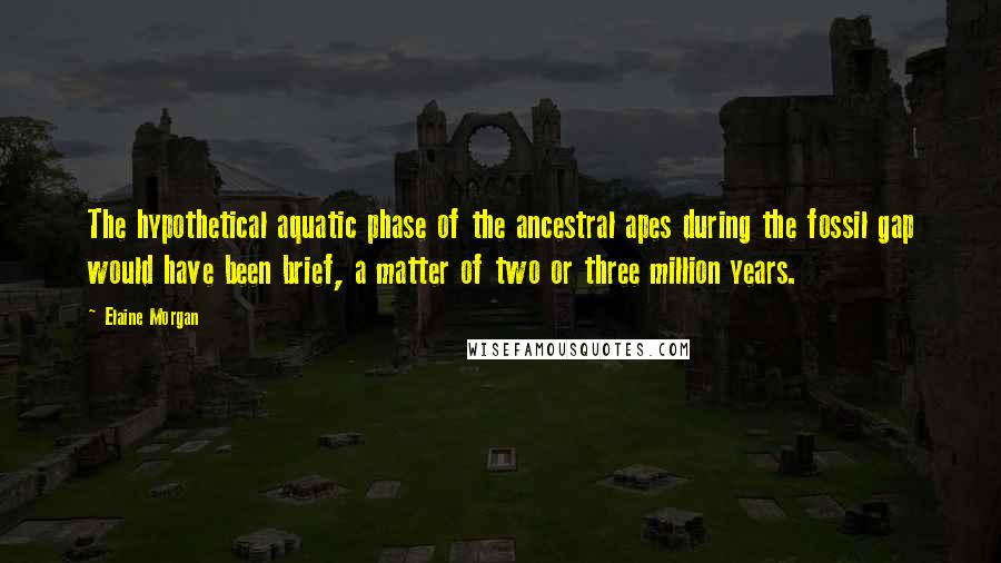 Elaine Morgan Quotes: The hypothetical aquatic phase of the ancestral apes during the fossil gap would have been brief, a matter of two or three million years.