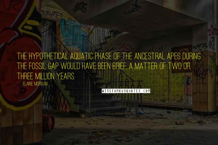 Elaine Morgan Quotes: The hypothetical aquatic phase of the ancestral apes during the fossil gap would have been brief, a matter of two or three million years.