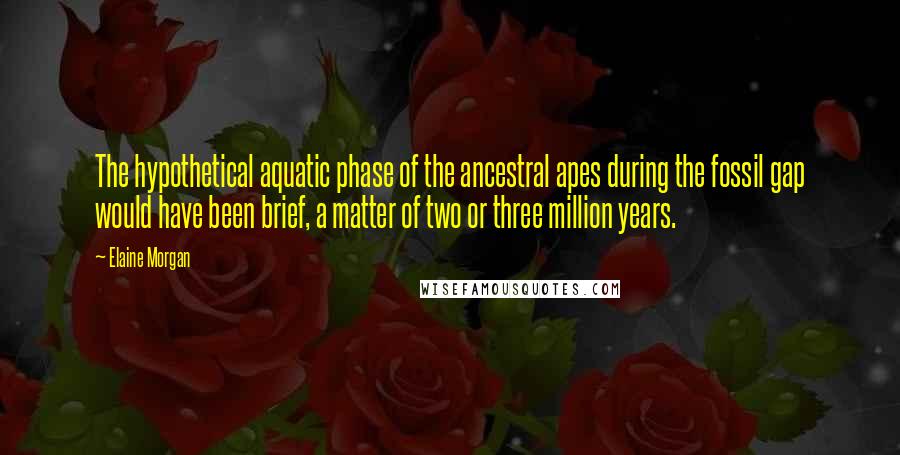 Elaine Morgan Quotes: The hypothetical aquatic phase of the ancestral apes during the fossil gap would have been brief, a matter of two or three million years.