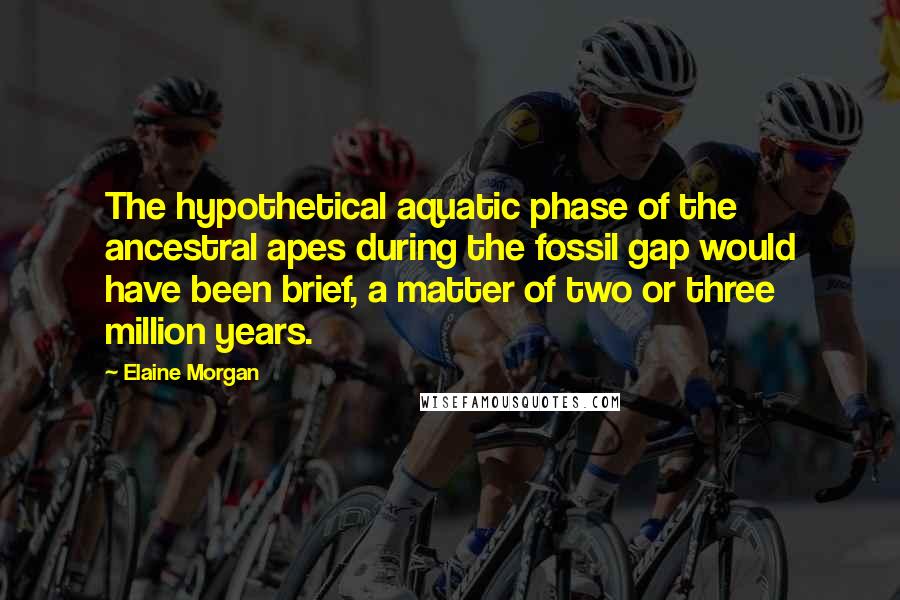 Elaine Morgan Quotes: The hypothetical aquatic phase of the ancestral apes during the fossil gap would have been brief, a matter of two or three million years.