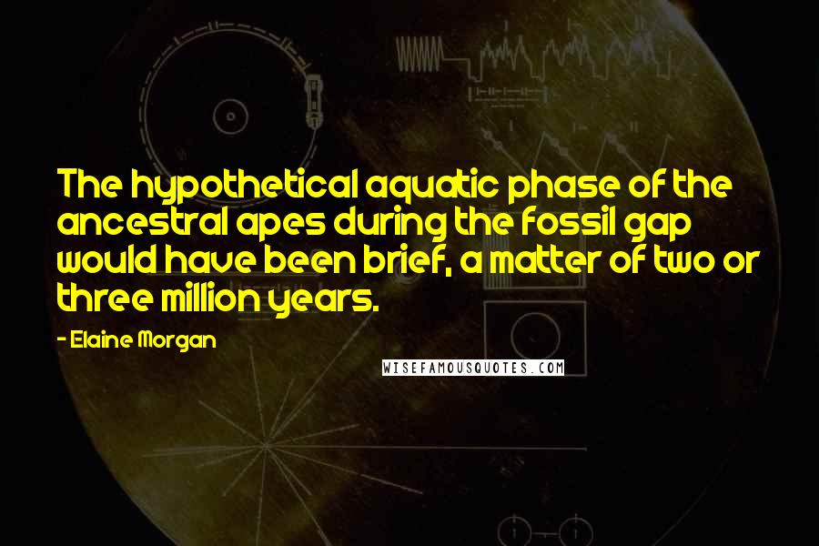 Elaine Morgan Quotes: The hypothetical aquatic phase of the ancestral apes during the fossil gap would have been brief, a matter of two or three million years.