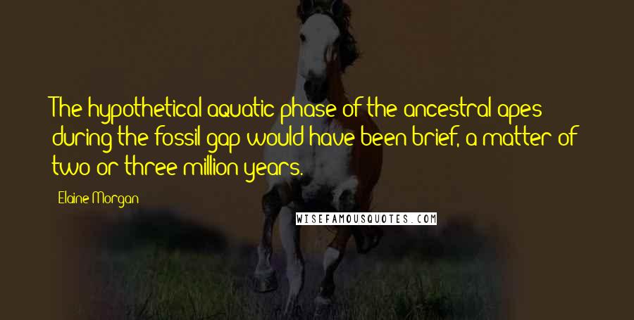 Elaine Morgan Quotes: The hypothetical aquatic phase of the ancestral apes during the fossil gap would have been brief, a matter of two or three million years.