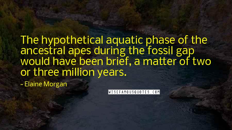 Elaine Morgan Quotes: The hypothetical aquatic phase of the ancestral apes during the fossil gap would have been brief, a matter of two or three million years.