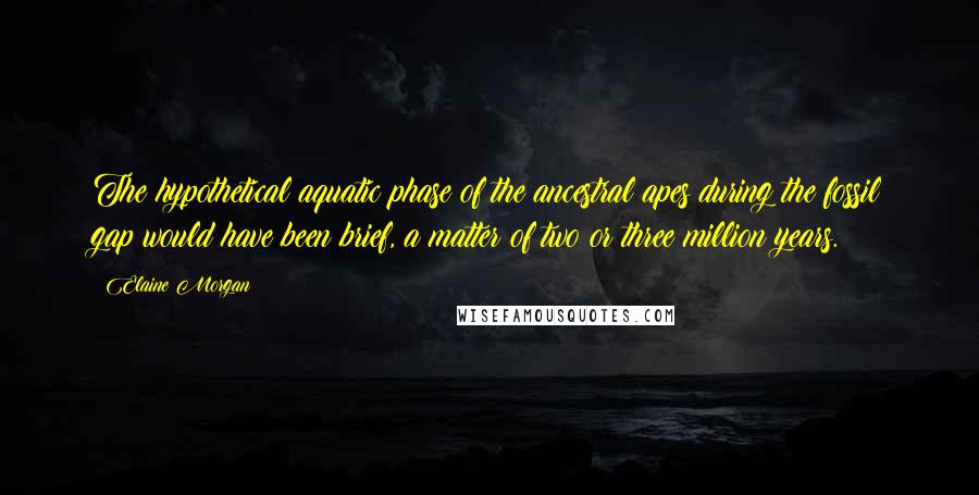 Elaine Morgan Quotes: The hypothetical aquatic phase of the ancestral apes during the fossil gap would have been brief, a matter of two or three million years.