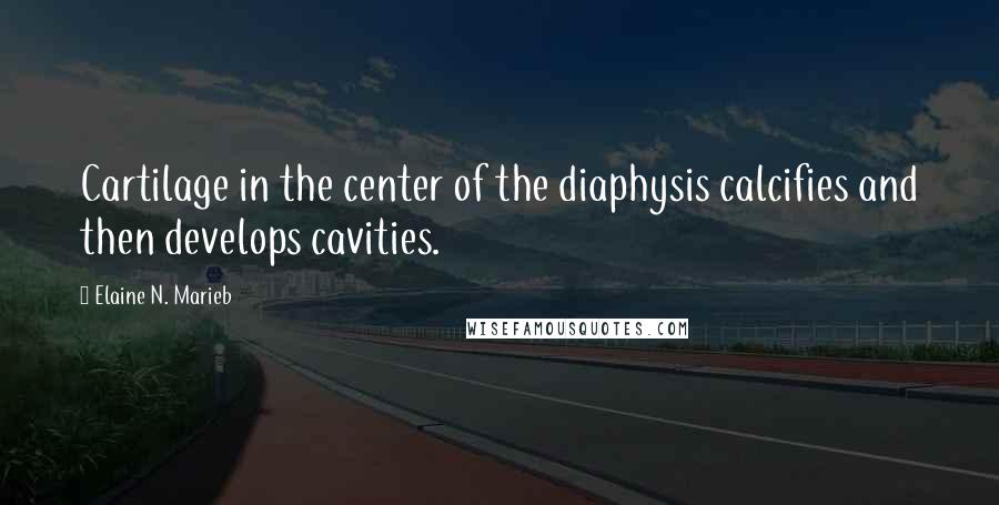 Elaine N. Marieb Quotes: Cartilage in the center of the diaphysis calcifies and then develops cavities.
