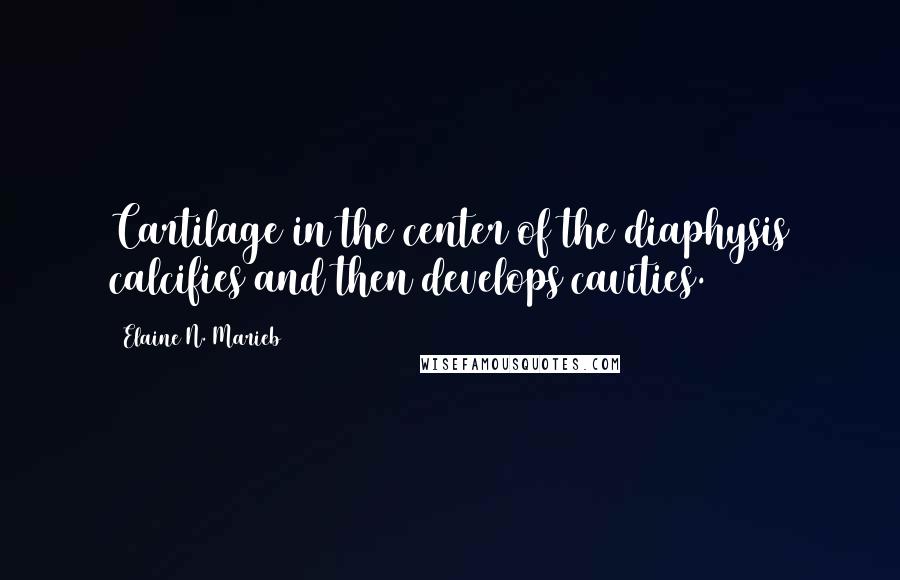 Elaine N. Marieb Quotes: Cartilage in the center of the diaphysis calcifies and then develops cavities.