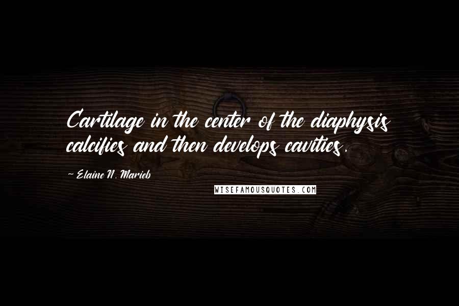 Elaine N. Marieb Quotes: Cartilage in the center of the diaphysis calcifies and then develops cavities.