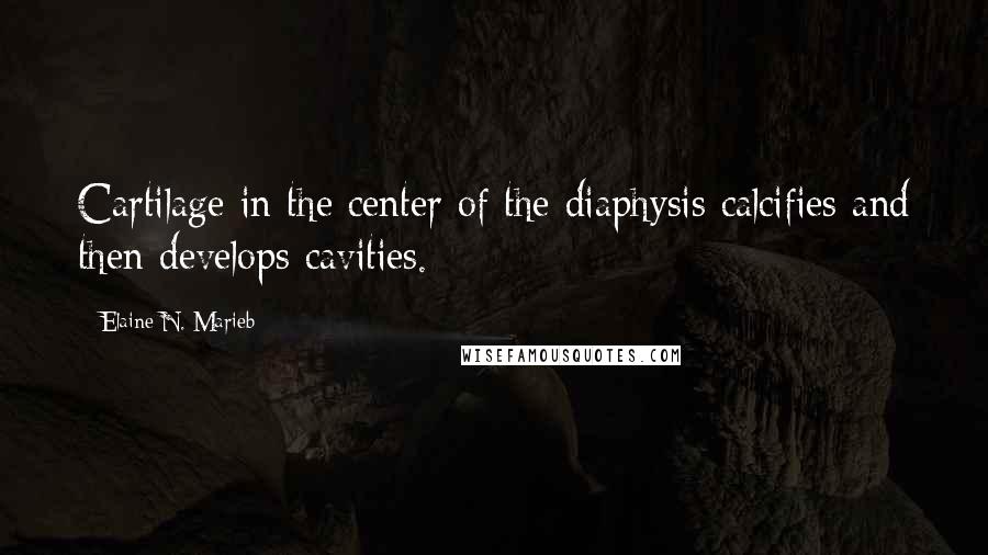 Elaine N. Marieb Quotes: Cartilage in the center of the diaphysis calcifies and then develops cavities.