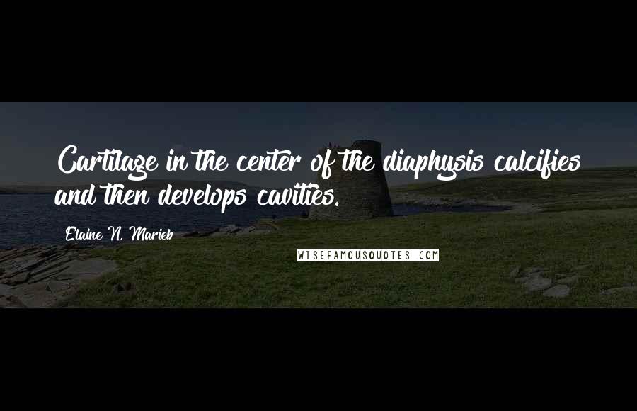 Elaine N. Marieb Quotes: Cartilage in the center of the diaphysis calcifies and then develops cavities.