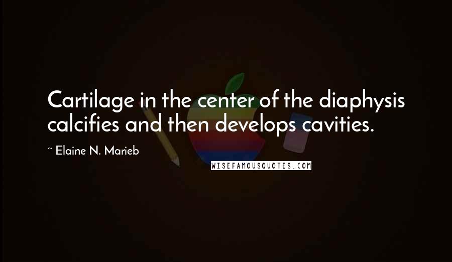 Elaine N. Marieb Quotes: Cartilage in the center of the diaphysis calcifies and then develops cavities.