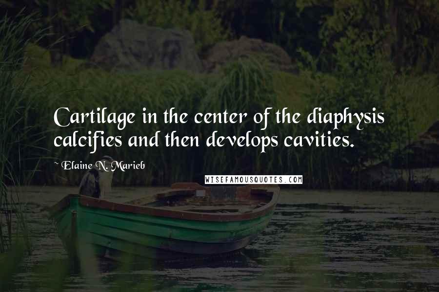 Elaine N. Marieb Quotes: Cartilage in the center of the diaphysis calcifies and then develops cavities.