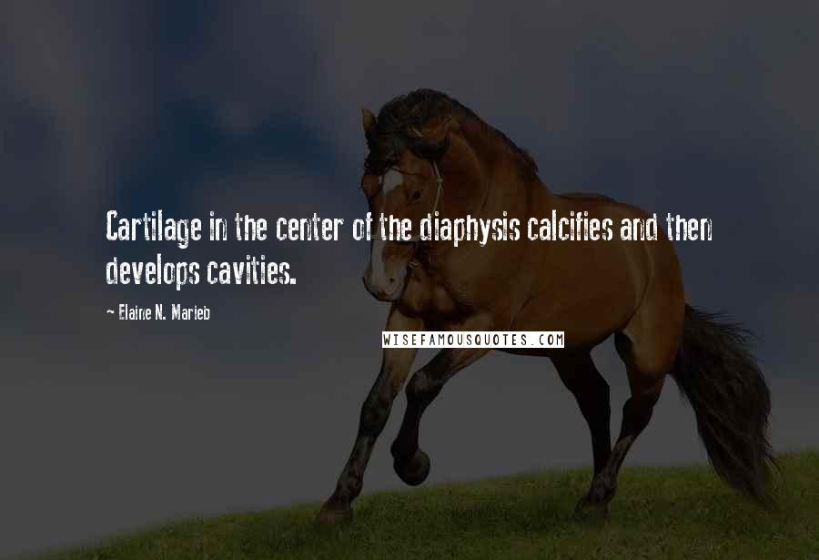 Elaine N. Marieb Quotes: Cartilage in the center of the diaphysis calcifies and then develops cavities.