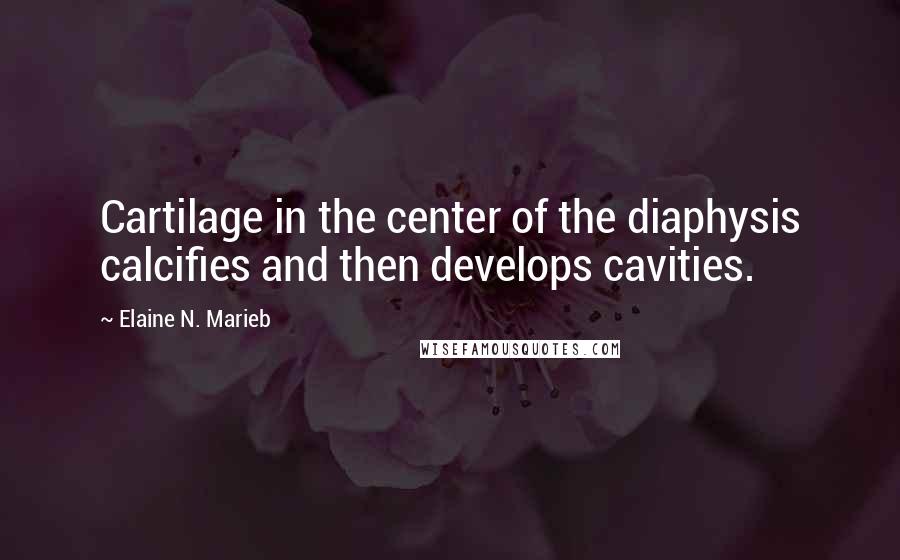 Elaine N. Marieb Quotes: Cartilage in the center of the diaphysis calcifies and then develops cavities.