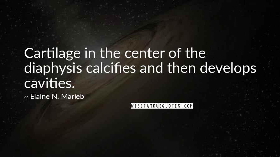 Elaine N. Marieb Quotes: Cartilage in the center of the diaphysis calcifies and then develops cavities.