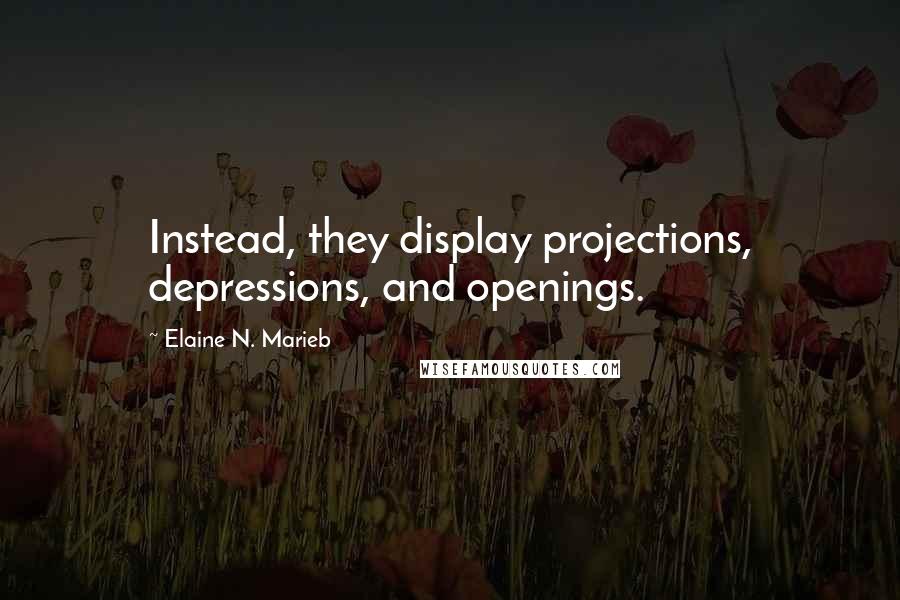 Elaine N. Marieb Quotes: Instead, they display projections, depressions, and openings.