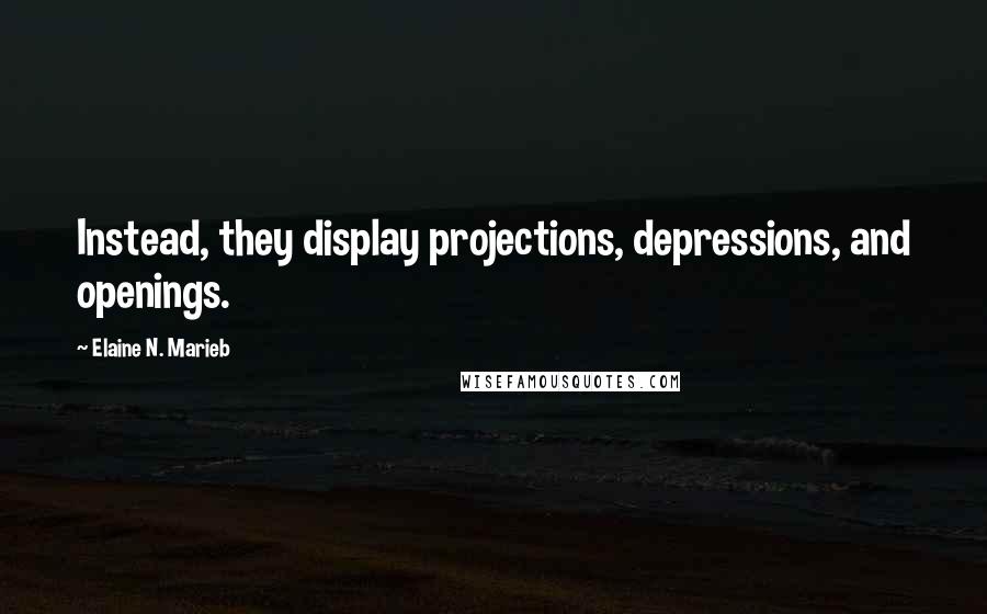 Elaine N. Marieb Quotes: Instead, they display projections, depressions, and openings.