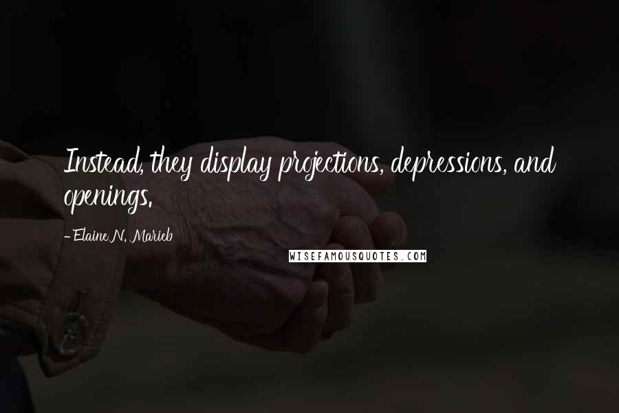Elaine N. Marieb Quotes: Instead, they display projections, depressions, and openings.