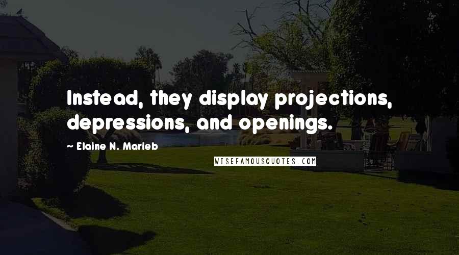 Elaine N. Marieb Quotes: Instead, they display projections, depressions, and openings.