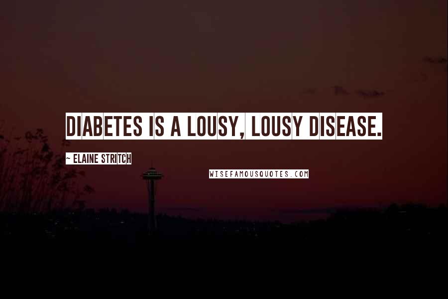 Elaine Stritch Quotes: Diabetes is a lousy, lousy disease.