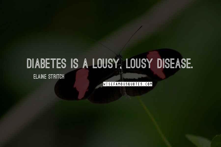 Elaine Stritch Quotes: Diabetes is a lousy, lousy disease.