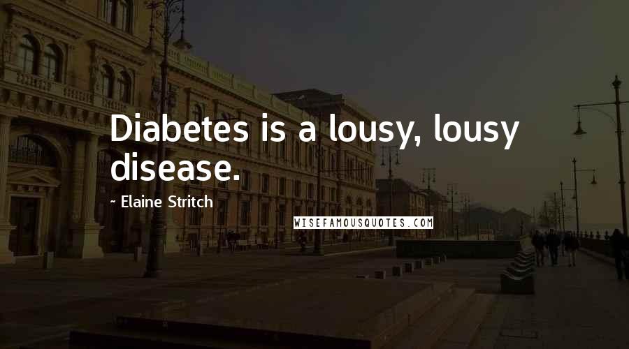 Elaine Stritch Quotes: Diabetes is a lousy, lousy disease.