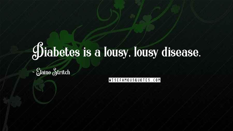 Elaine Stritch Quotes: Diabetes is a lousy, lousy disease.