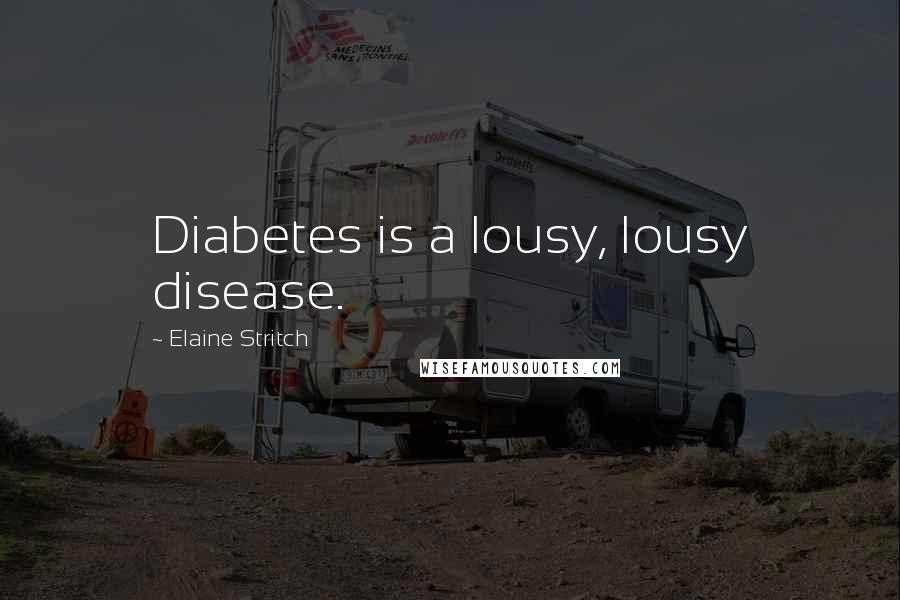 Elaine Stritch Quotes: Diabetes is a lousy, lousy disease.