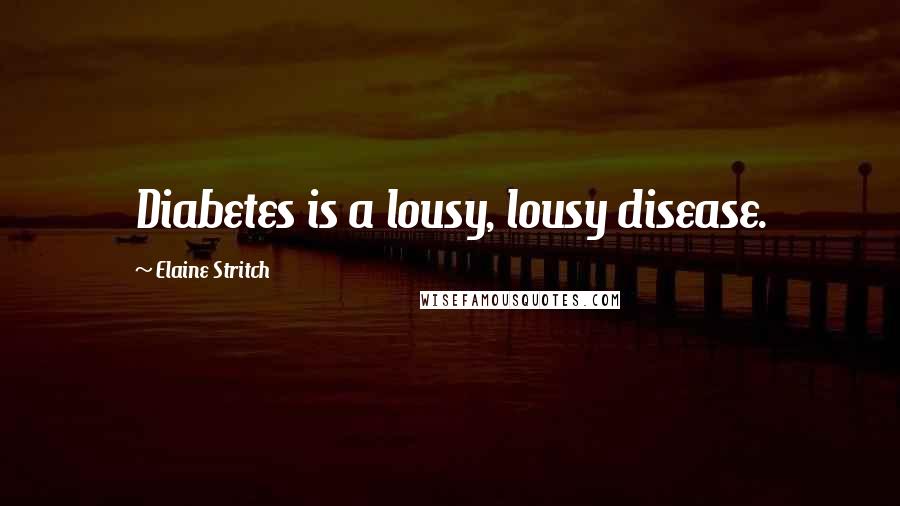 Elaine Stritch Quotes: Diabetes is a lousy, lousy disease.